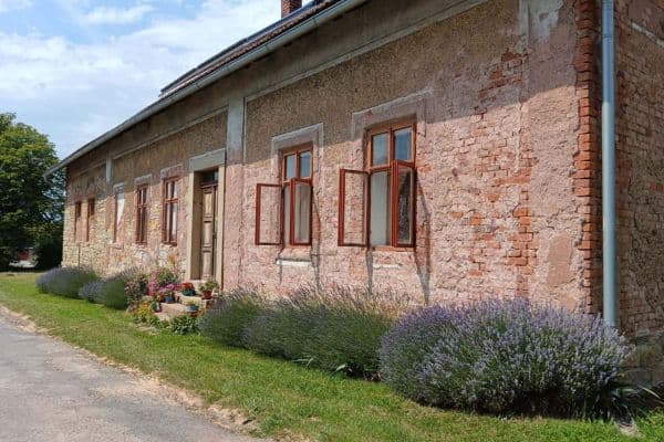 Pronájem chaty, chalupy, Ústí nad Orlicí Pronájem chaty, chalupy, Ústí nad Orlicí