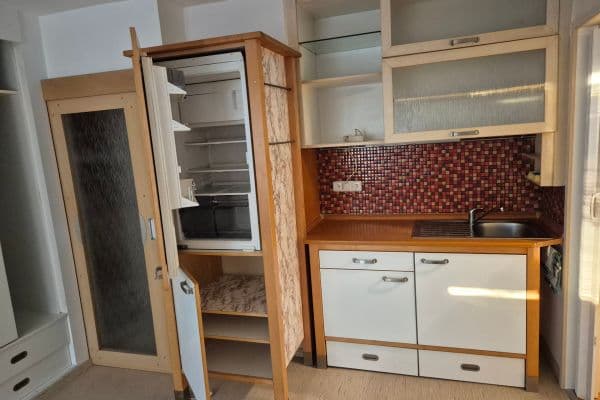 Pronájem bytu 1+kk 25 m², Praskolesy Pronájem bytu 1+kk 25 m², Praskolesy