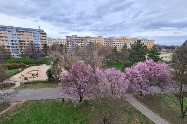 Pronájem bytu 3+kk 58 m², Křenická, Praha Pronájem bytu 3+kk 58 m², Křenická, Praha