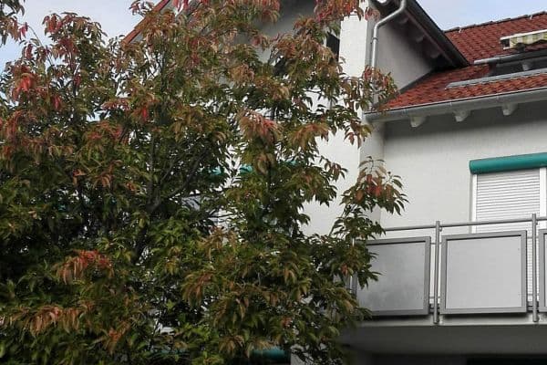 Pronájem bytu 3+1 78 m², Schwaigern Pronájem bytu 3+1 78 m², Schwaigern