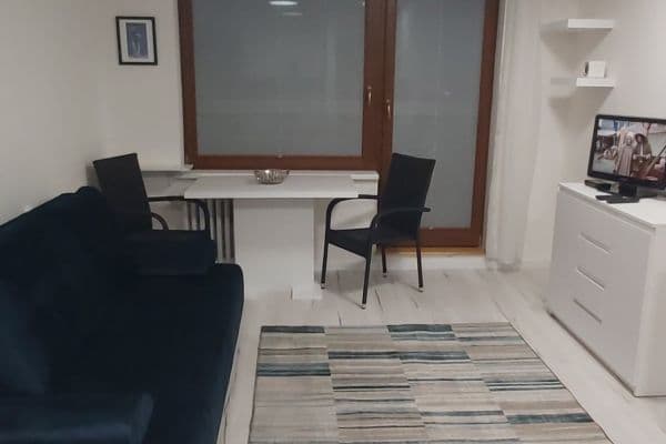 Pronájem bytu 1+kk 31 m², Černého, Praha Pronájem bytu 1+kk 31 m², Černého, Praha
