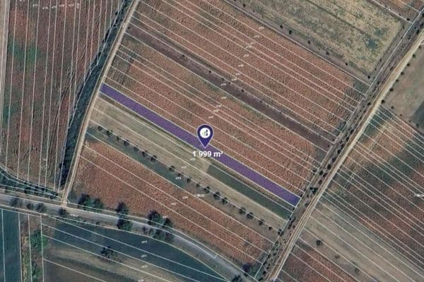 Prodej pozemku 1.000 m², Moravský Písek, Jihomoravský kraj Prodej pozemku 1.000 m², Moravský Písek, Jihomoravský kraj