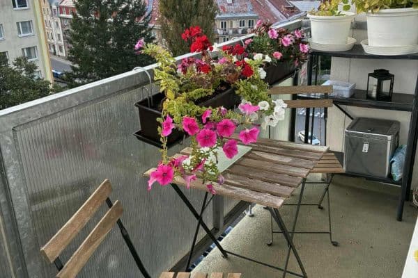 Pronájem bytu 2+1 58 m², Oldřichova, Liberec, Liberecký kraj Pronájem bytu 2+1 58 m², Oldřichova, Liberec, Liberecký kraj