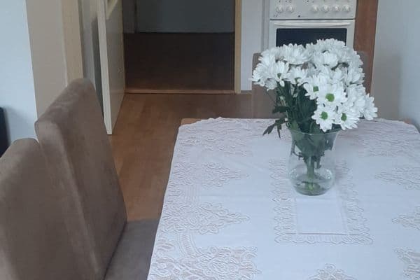Pronájem bytu 2+kk 40 m², Lesní, Luštěnice Pronájem bytu 2+kk 40 m², Lesní, Luštěnice