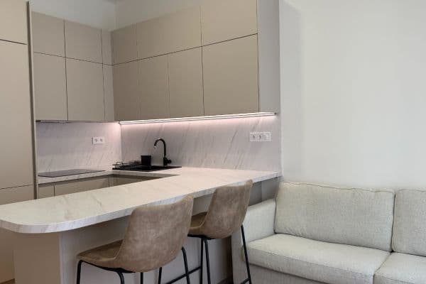 Pronájem bytu 2+kk 45 m², Vinohradská, Praha Pronájem bytu 2+kk 45 m², Vinohradská, Praha