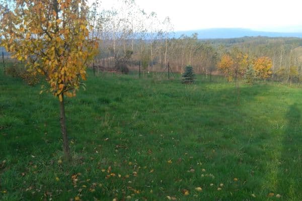 Prodej pozemku 1.500 m², Slatina Prodej pozemku 1.500 m², Slatina