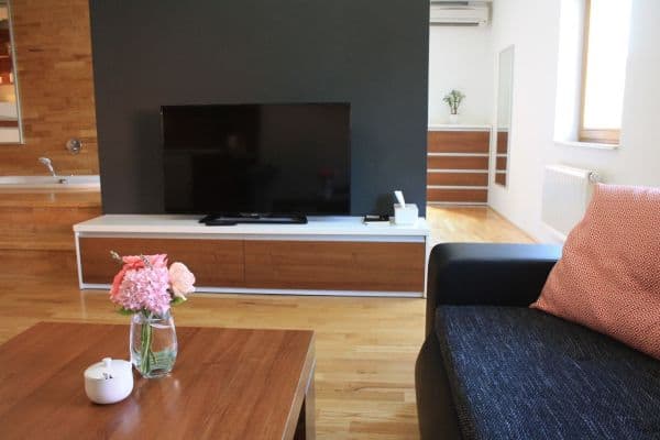 Pronájem bytu 1+kk 45 m², Vídeňská, Brno Pronájem bytu 1+kk 45 m², Vídeňská, Brno