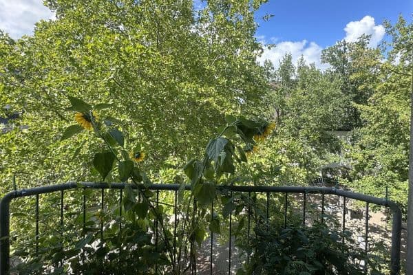 Pronájem bytu 2+1 59 m², Kaiserslautern, Porýní-Falc Pronájem bytu 2+1 59 m², Kaiserslautern, Porýní-Falc