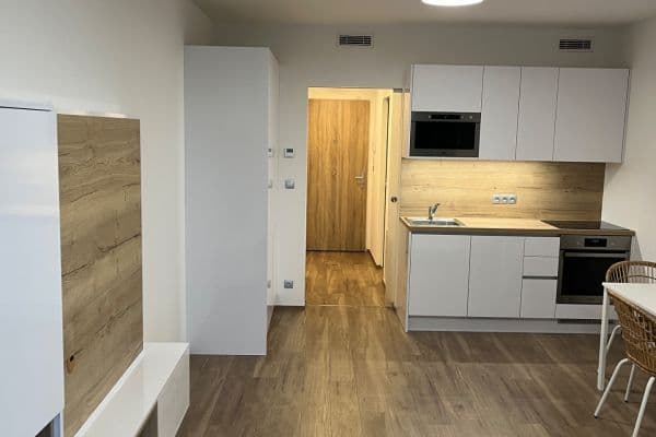 Pronájem bytu 1+kk 33 m², Kurta Konráda, Praha Pronájem bytu 1+kk 33 m², Kurta Konráda, Praha