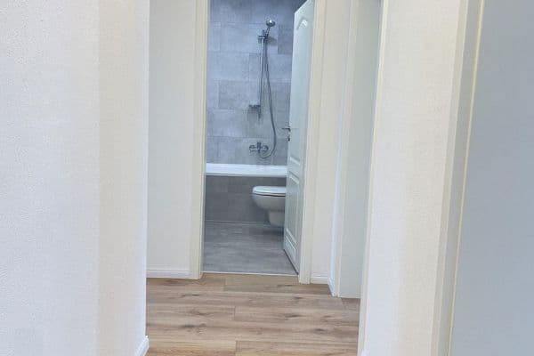 Pronájem bytu 3+1 58 m², Blumenstraße 2, Magdeburg, Sasko-Anhaltsko Pronájem bytu 3+1 58 m², Blumenstraße 2, Magdeburg, Sasko-Anhaltsko