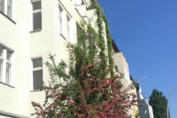 Prodej bytu 6+1 202 m², Berlin, Berlín Prodej bytu 6+1 202 m², Berlin, Berlín