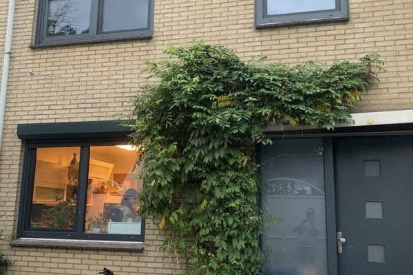 Prodej domu 118 m², pozemek 177 m², Pulheim Prodej domu 118 m², pozemek 177 m², Pulheim