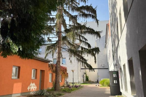 Pronájem bytu 2+1 50 m², Cejl, Brno Pronájem bytu 2+1 50 m², Cejl, Brno