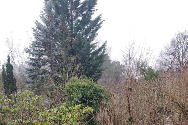 Prodej domu 180 m², pozemek 1.412 m², Wildbahn 48, Berlin, Berlín Prodej domu 180 m², pozemek 1.412 m², Wildbahn 48, Berlin, Berlín