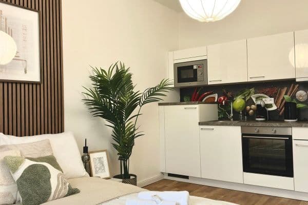 Pronájem bytu 30 m², Washingtonova, Praha Pronájem bytu 30 m², Washingtonova, Praha