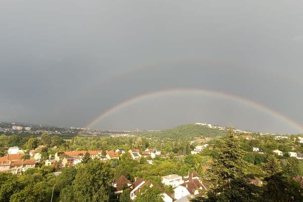 Pronájem bytu 2+1 57 m², Jasanová, Brno Pronájem bytu 2+1 57 m², Jasanová, Brno