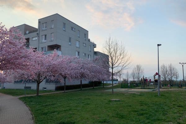 Prodej bytu 2+kk 54 m², Václava Trojana, Praha Prodej bytu 2+kk 54 m², Václava Trojana, Praha