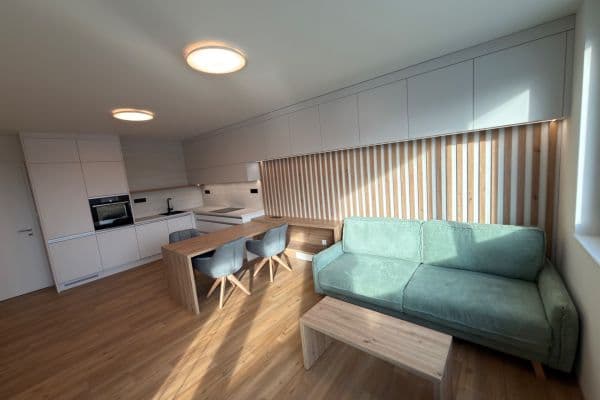 Pronájem bytu 2+kk 60 m², U Hájenky, Ostrava Pronájem bytu 2+kk 60 m², U Hájenky, Ostrava