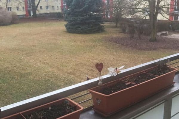 Prodej bytu 2+1 60 m², Kienheideweg 11, Berlin, Berlín Prodej bytu 2+1 60 m², Kienheideweg 11, Berlin, Berlín