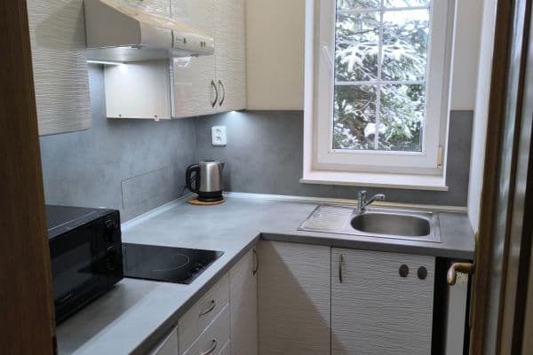 Pronájem bytu 1+1 38 m², Sadová, České Budějovice Pronájem bytu 1+1 38 m², Sadová, České Budějovice