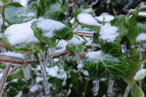 Prodej pozemku 1.020 m², Berlin Prodej pozemku 1.020 m², Berlin