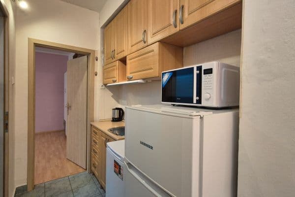 Pronájem bytu 1+kk 27 m², Renneská třída, Brno Pronájem bytu 1+kk 27 m², Renneská třída, Brno