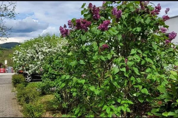 Pronájem bytu 3+kk 93 m², Waldallee 7.42, Eppstein Pronájem bytu 3+kk 93 m², Waldallee 7.42, Eppstein