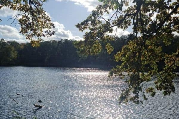 Prodej bytu 5+1 110 m², Berlin, Berlín Prodej bytu 5+1 110 m², Berlin, Berlín