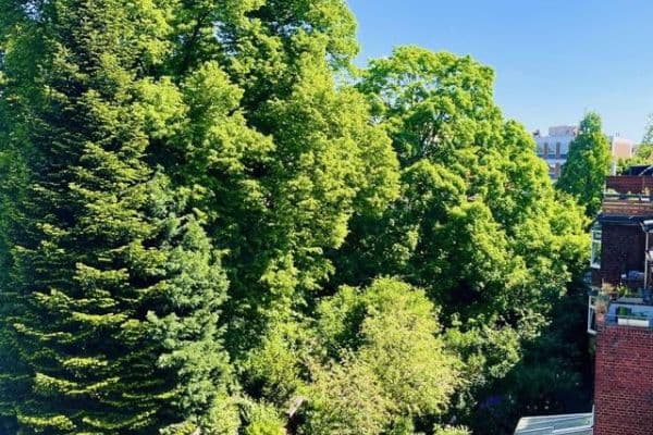 Pronájem bytu 4+1 110 m², Fuldastraße 21, Duisburg Pronájem bytu 4+1 110 m², Fuldastraße 21, Duisburg