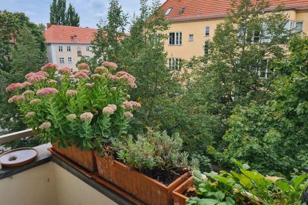 Prodej bytu 3+1 68 m², Vineta Str.52, Berlin-Pankow, Berlín Prodej bytu 3+1 68 m², Vineta Str.52, Berlin-Pankow, Berlín