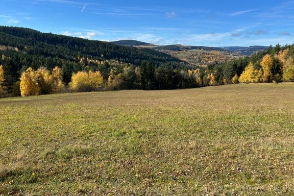 Prodej pozemku Prodej pozemku