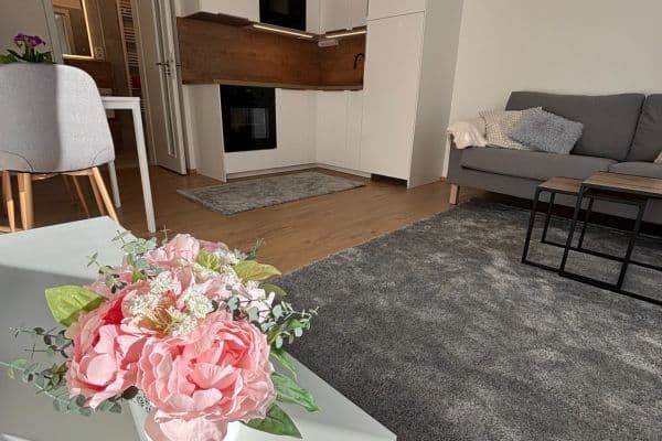 Pronájem bytu 2+kk 42 m², Hermanové, Praha Pronájem bytu 2+kk 42 m², Hermanové, Praha