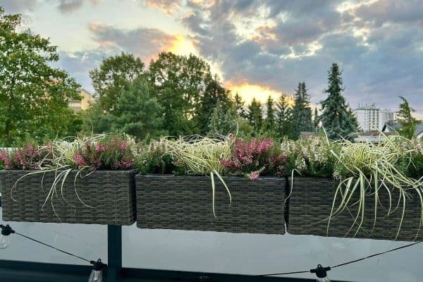 Pronájem bytu 4+1 106 m², Kennedystraße 96, Maintal Pronájem bytu 4+1 106 m², Kennedystraße 96, Maintal