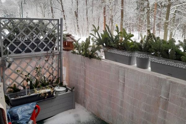 Pronájem bytu 2+1 60 m², Oststraße, Cottbus, Braniborsko Pronájem bytu 2+1 60 m², Oststraße, Cottbus, Braniborsko