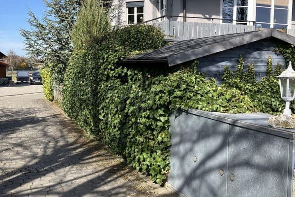 Prodej domu Prodej domu