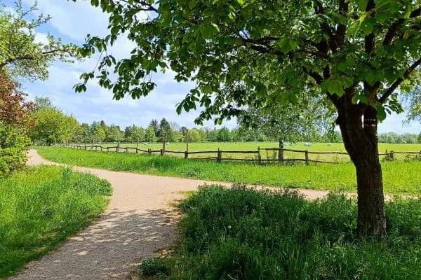 Prodej domu 125 m², pozemek 400 m², Berlin Prodej domu 125 m², pozemek 400 m², Berlin