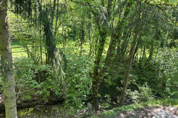 Prodej domu 115 m², pozemek 270 m², Mauerbach Prodej domu 115 m², pozemek 270 m², Mauerbach