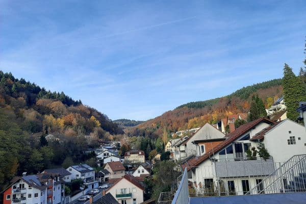 Pronájem bytu 4+1 117 m², Heidelberg Pronájem bytu 4+1 117 m², Heidelberg
