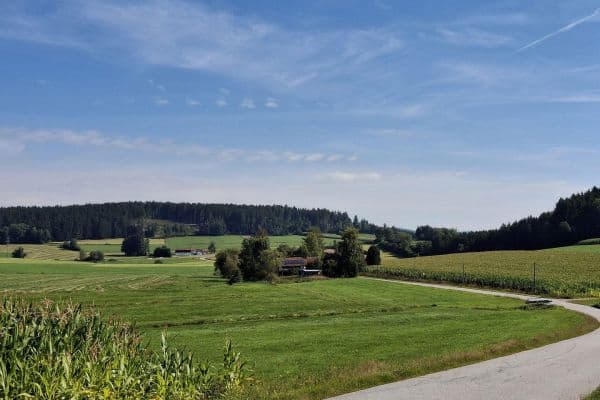 Prodej domu 144 m², pozemek 8.028 m², Regen Prodej domu 144 m², pozemek 8.028 m², Regen