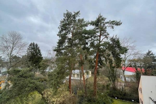 Prodej bytu 4+1 96 m², Erlangen Prodej bytu 4+1 96 m², Erlangen