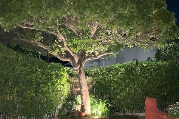 Prodej domu 168 m², pozemek 458 m², Udenheim Prodej domu 168 m², pozemek 458 m², Udenheim