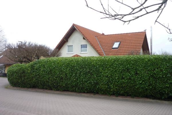 Prodej domu 162 m², pozemek 458 m², Udenheim Prodej domu 162 m², pozemek 458 m², Udenheim