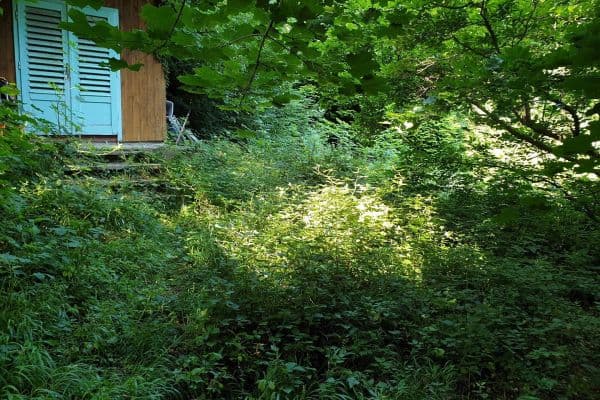 Prodej pozemku 1.200 m², Wien Prodej pozemku 1.200 m², Wien