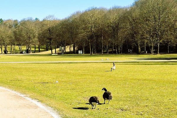 Prodej bytu 3+1 80 m², Westendstrasse 266a, München, Bavorsko Prodej bytu 3+1 80 m², Westendstrasse 266a, München, Bavorsko