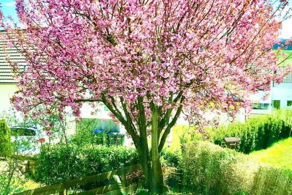 Prodej domu 250 m², pozemek 313 m², Göppingen Prodej domu 250 m², pozemek 313 m², Göppingen