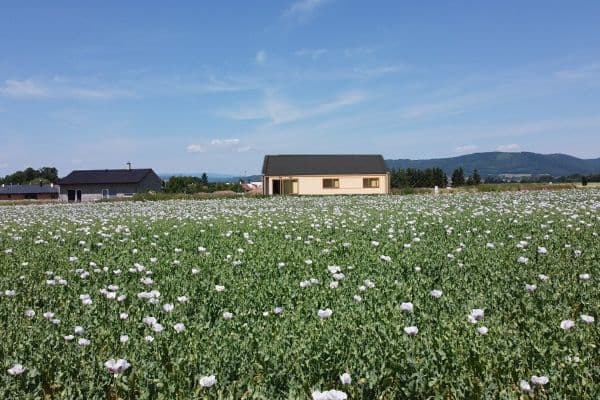 Prodej domu Prodej domu