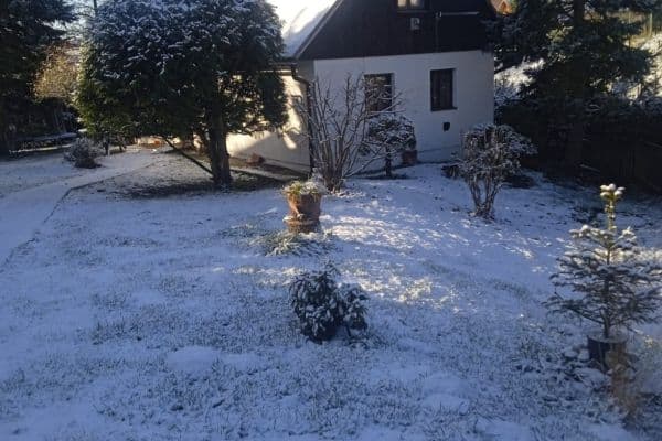 Prodej domu 169 m², pozemek 1.053 m², Čečkovice Prodej domu 169 m², pozemek 1.053 m², Čečkovice