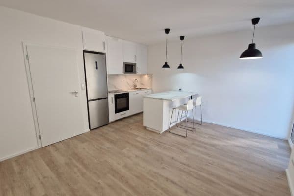 Pronájem bytu 1+kk 30 m², Auerswaldova, Brno Pronájem bytu 1+kk 30 m², Auerswaldova, Brno