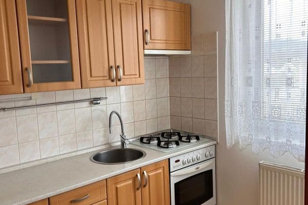 Pronájem bytu 1+1 28 m², J. Haška, Letovice, Jihomoravský kraj Pronájem bytu 1+1 28 m², J. Haška, Letovice, Jihomoravský kraj