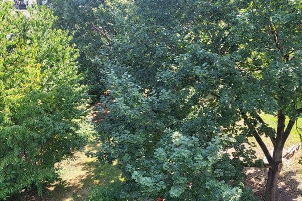 Pronájem bytu 3+1 68 m², Neustadtstraße 3, Leverkusen Pronájem bytu 3+1 68 m², Neustadtstraße 3, Leverkusen